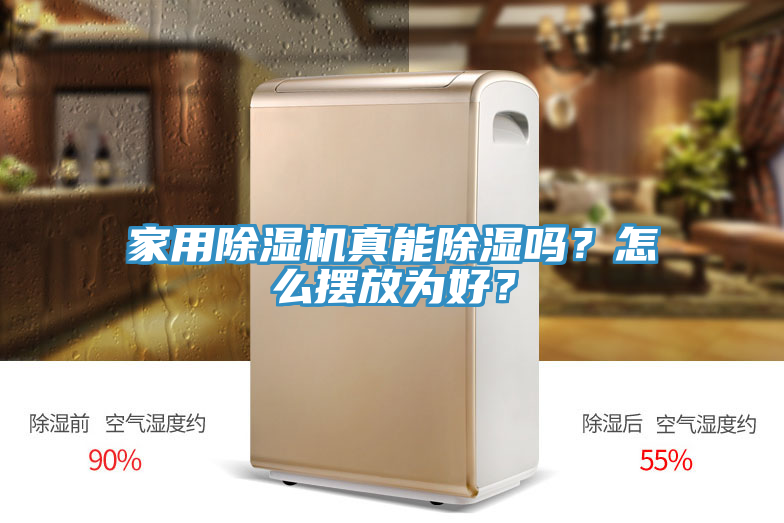 家用除濕機真能除濕嗎?怎么擺放為好?