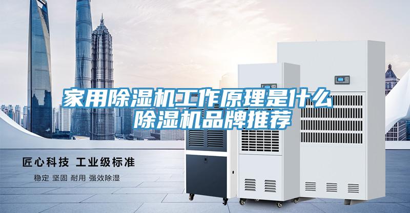 家用除濕機工作原理是什么  除濕機品牌推薦