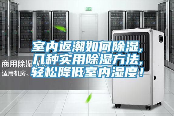 室內返潮如何除濕,幾種實用除濕方法,輕松降低室內濕度!