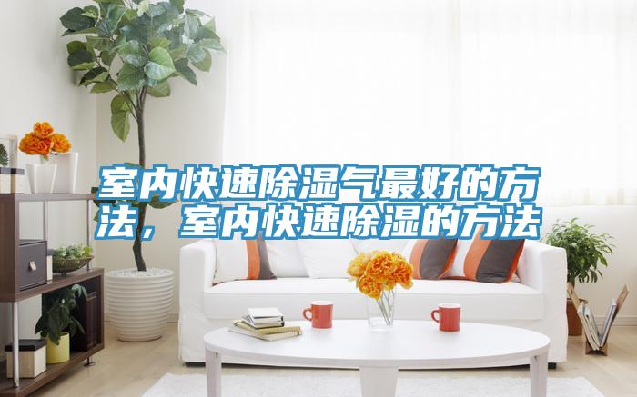 室內快速除濕氣最好的方法,室內快速除濕的方法