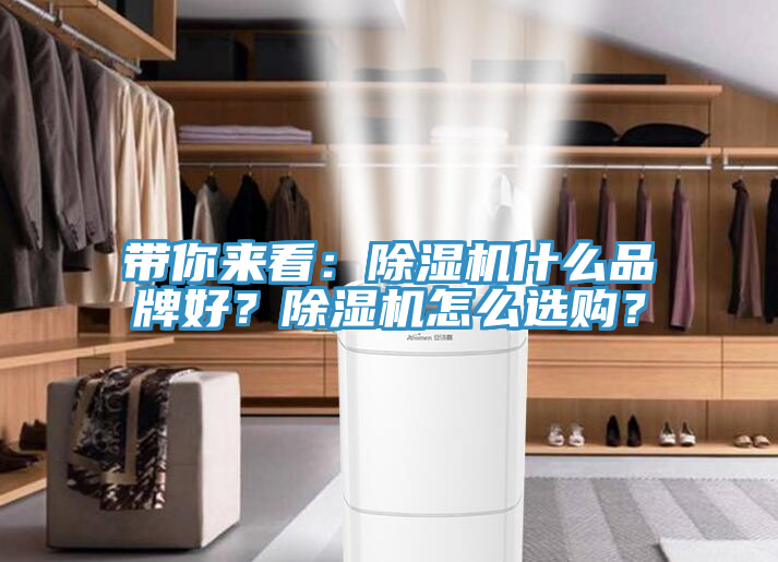帶你來看:除濕機(jī)什么品牌好?除濕機(jī)怎么選購?