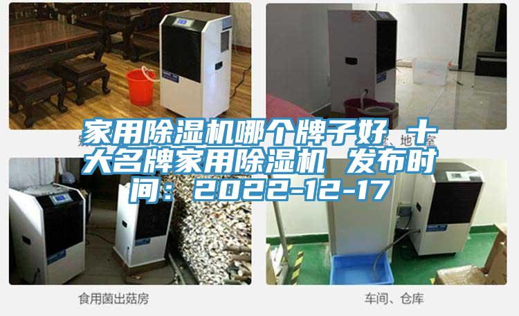 家用除濕機哪個牌子好 十大名牌家用除濕機 發(fā)布時間：2022-12-17