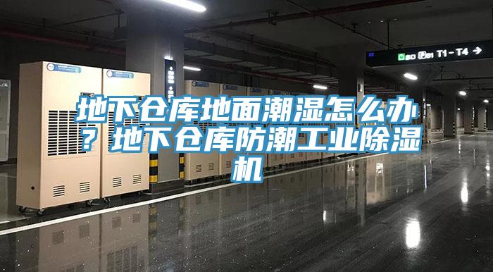 地下倉庫地面潮濕怎么辦?地下倉庫防潮工業除濕機
