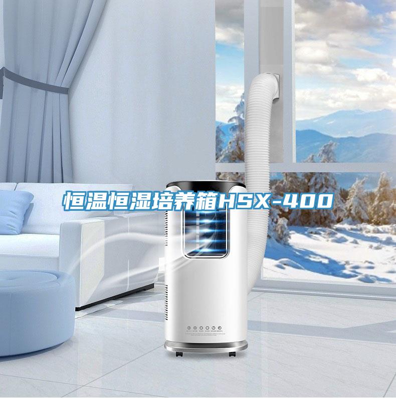 恒溫恒濕培養(yǎng)箱HSX-400
