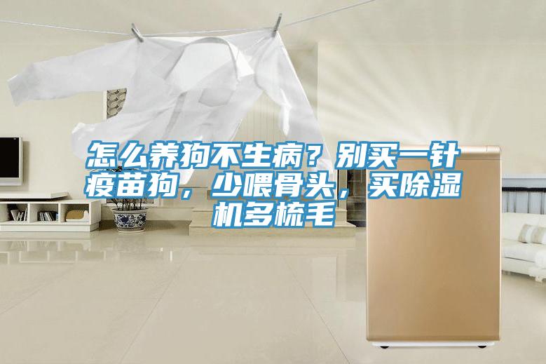 怎么養(yǎng)狗不生??？別買(mǎi)一針疫苗狗，少喂骨頭，買(mǎi)除濕機(jī)多梳毛