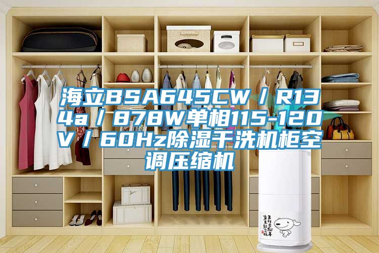 海立BSA645CW／R134a／878W單相115-120V／60Hz除濕干洗機柜空調壓縮機
