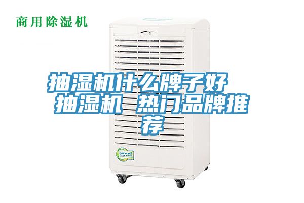 抽濕機什么牌子好 抽濕機 熱門品牌推薦