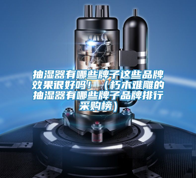 抽濕器有哪些牌子這些品牌效果很好嗎!(朽木難雕的抽濕器有哪些牌子品牌排行采購榜)