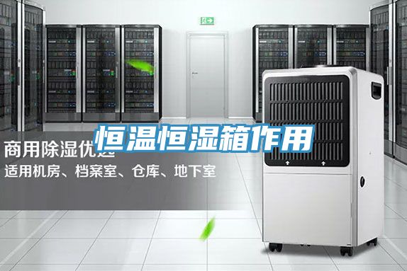 恒溫恒濕箱作用