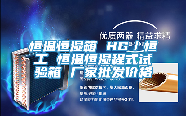 恒溫恒濕箱 HG/恒工 恒溫恒濕程式試驗箱 廠家批發價格