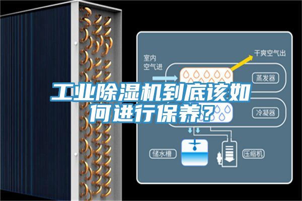 工業除濕機到底該如何進行保養?