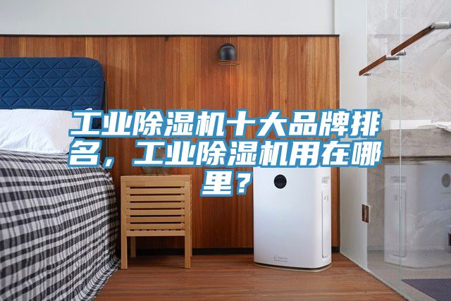 工業除濕機十大品牌排名,工業除濕機用在哪里?