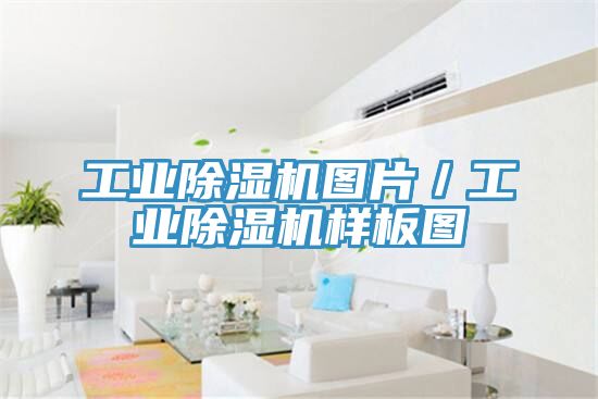 工業除濕機圖片/工業除濕機樣板圖