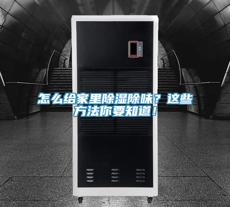 怎么給家里除濕除味?這些方法你要知道!