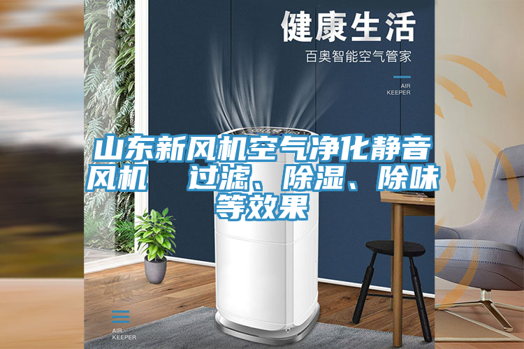 山東新風機空氣凈化靜音風機 過濾、除濕、除味等效果