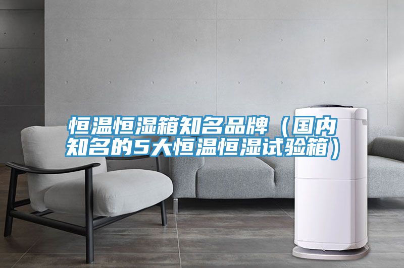 恒溫恒濕箱知名品牌(國內知名的5大恒溫恒濕試驗箱)