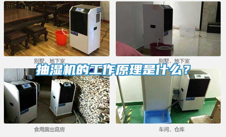 抽濕機的工作原理是什么?
