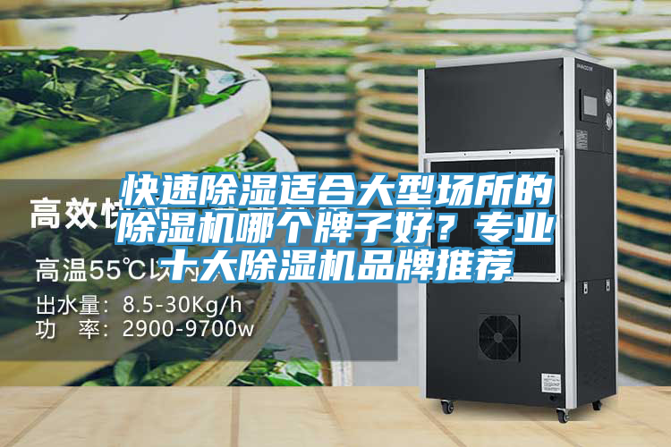 快速除濕適合大型場(chǎng)所的除濕機(jī)哪個(gè)牌子好?專業(yè)十大除濕機(jī)品牌推薦