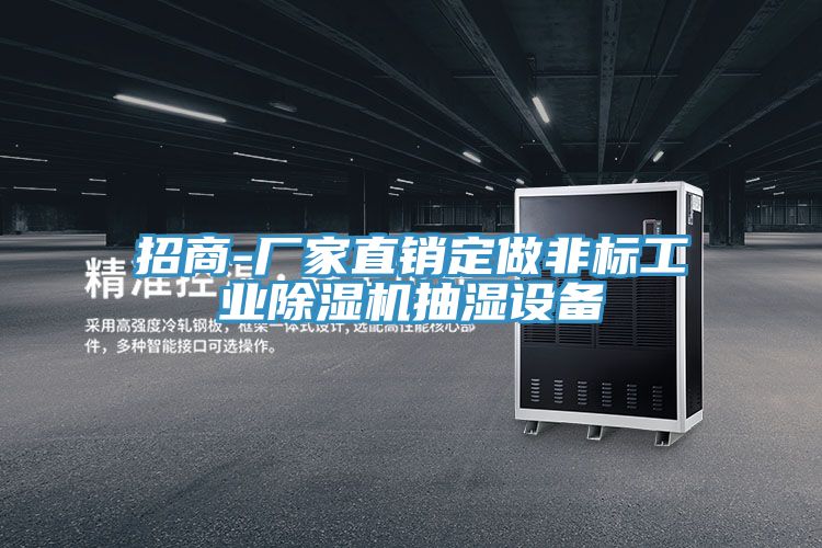 招商-廠家直銷定做非標(biāo)工業(yè)除濕機(jī)抽濕設(shè)備