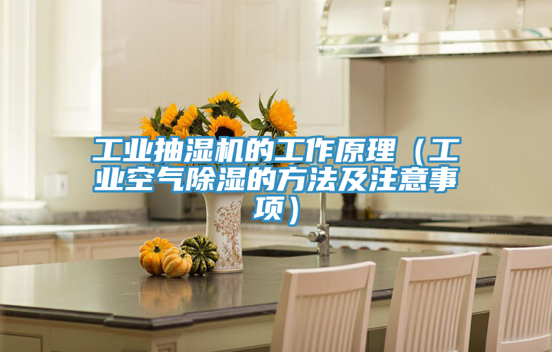 工業抽濕機的工作原理(工業空氣除濕的方法及注意事項)