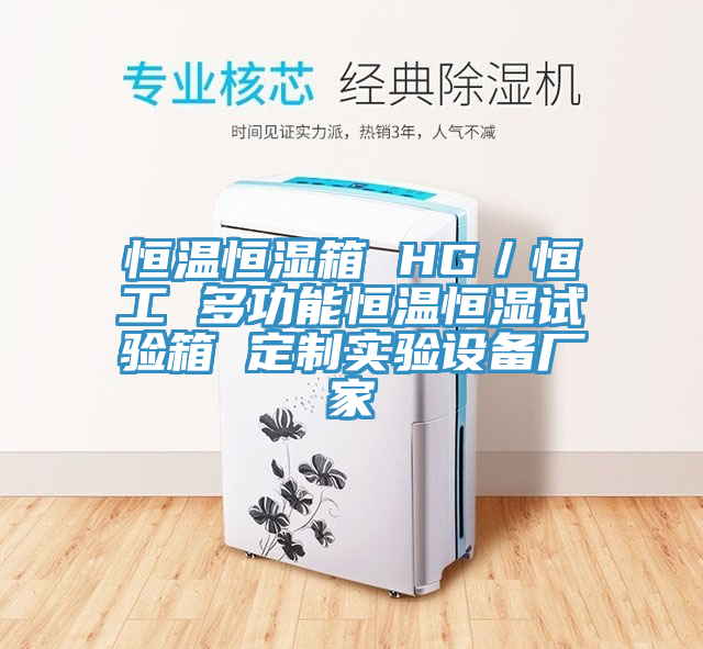 恒溫恒濕箱 HG/恒工 多功能恒溫恒濕試驗箱 定制實驗設備廠家