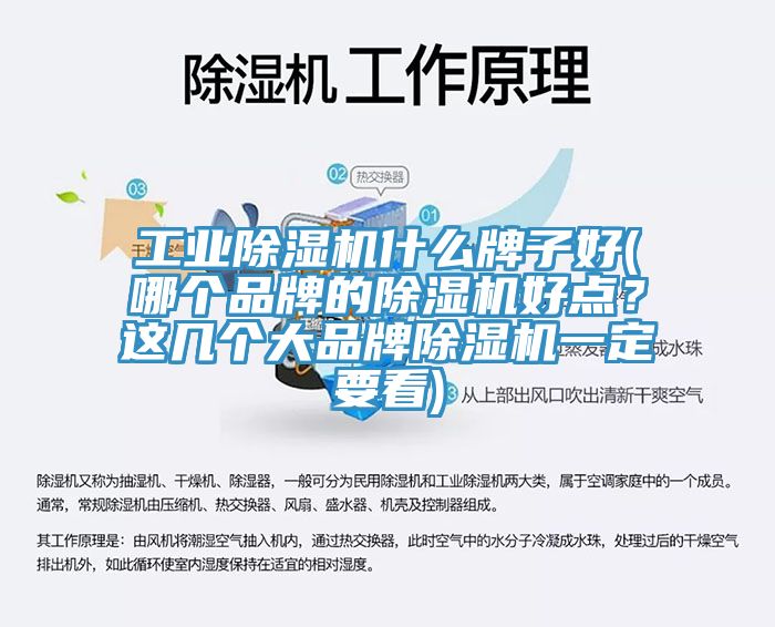 工業除濕機什么牌子好(哪個品牌的除濕機好點?這幾個大品牌除濕機一定要看)