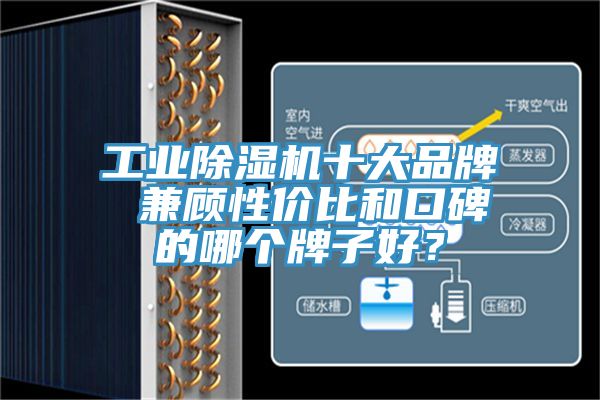 工業除濕機十大品牌 兼顧性價比和口碑的哪個牌子好?