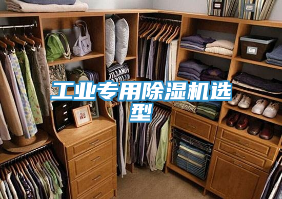 工業專用除濕機選型