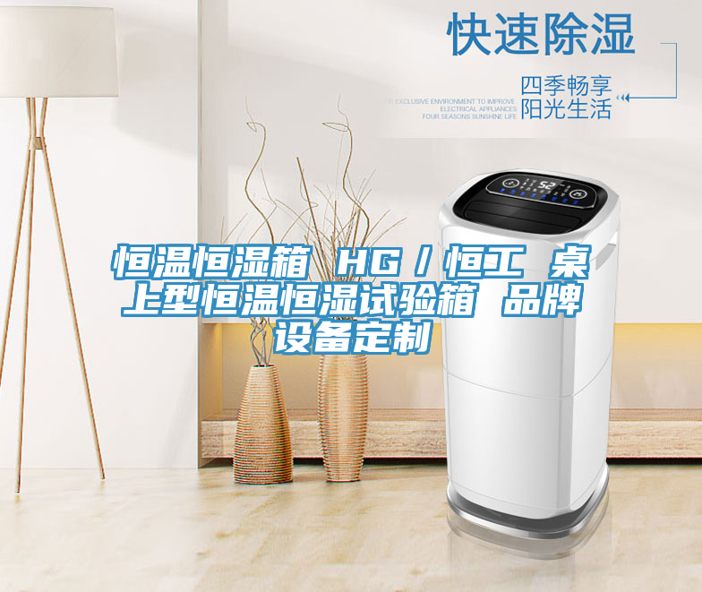 恒溫恒濕箱 HG/恒工 桌上型恒溫恒濕試驗箱 品牌設備定制