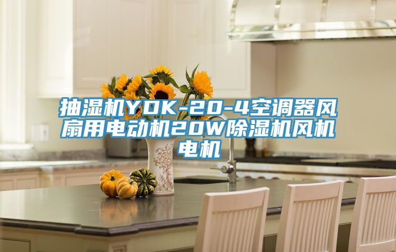 抽濕機YDK-20-4空調器風扇用電動機20W除濕機風機電機