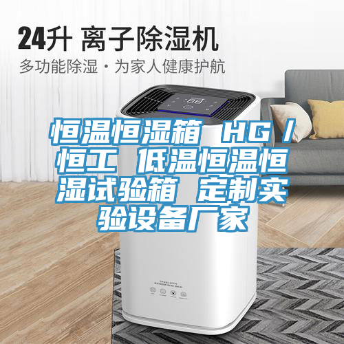 恒溫恒濕箱 HG/恒工 低溫恒溫恒濕試驗箱 定制實驗設備廠家