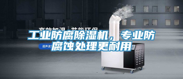工業(yè)防腐除濕機,專業(yè)防腐蝕處理更耐用