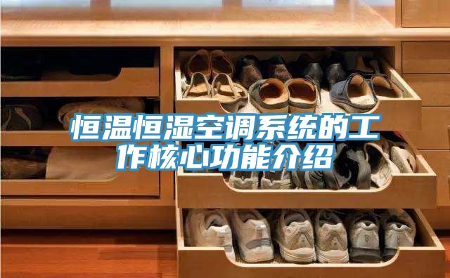 恒溫恒濕空調(diào)系統(tǒng)的工作核心功能介紹