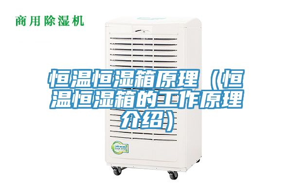 恒溫恒濕箱原理（恒溫恒濕箱的工作原理介紹）