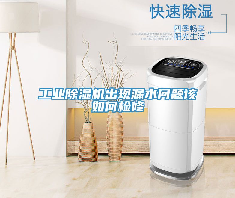 工業除濕機出現漏水問題該如何檢修