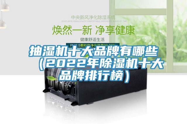抽濕機(jī)十大品牌有哪些(2022年除濕機(jī)十大品牌排行榜)