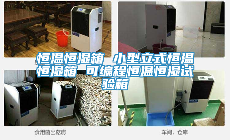 恒溫恒濕箱 小型立式恒溫恒濕箱 可編程恒溫恒濕試驗箱