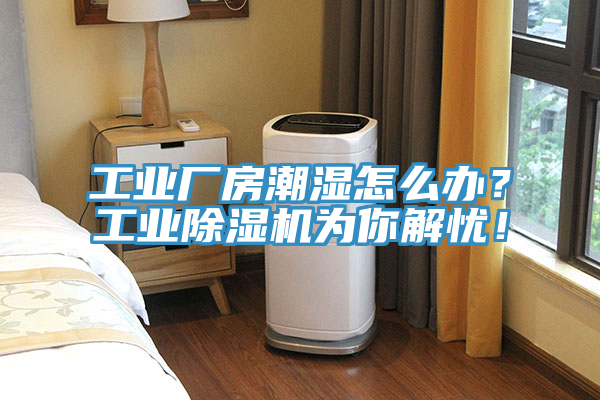 工業廠房潮濕怎么辦?工業除濕機為你解憂!