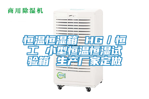 恒溫恒濕箱 HG/恒工 小型恒溫恒濕試驗箱 生產廠家定做