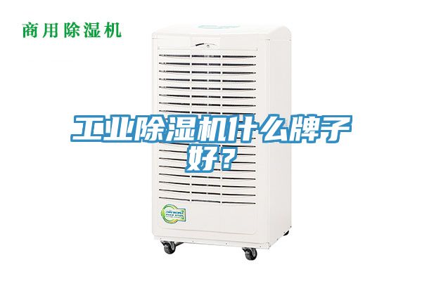 工業除濕機什么牌子好?