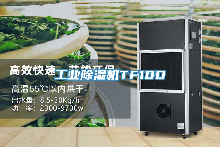 工業除濕機TF10D