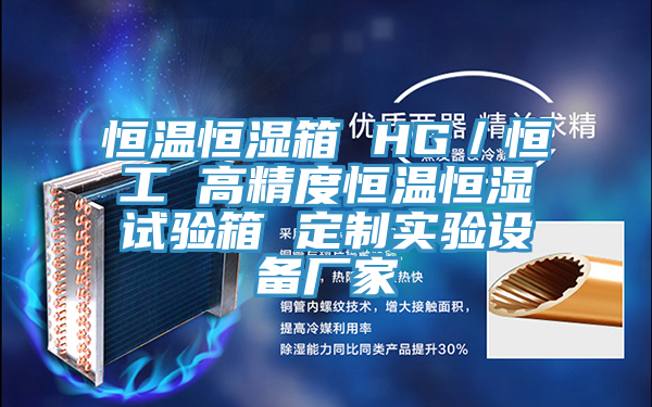 恒溫恒濕箱 HG/恒工 高精度恒溫恒濕試驗箱 定制實驗設備廠家