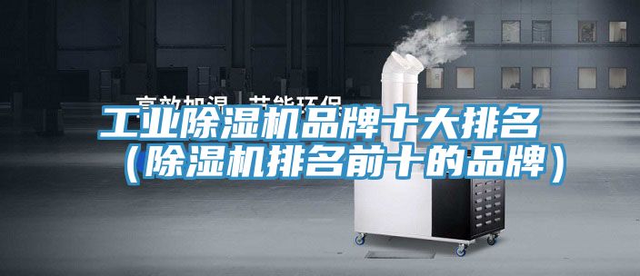 工業(yè)除濕機(jī)品牌十大排名(除濕機(jī)排名前十的品牌)