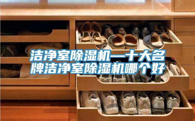 潔凈室除濕機—十大名牌潔凈室除濕機哪個好