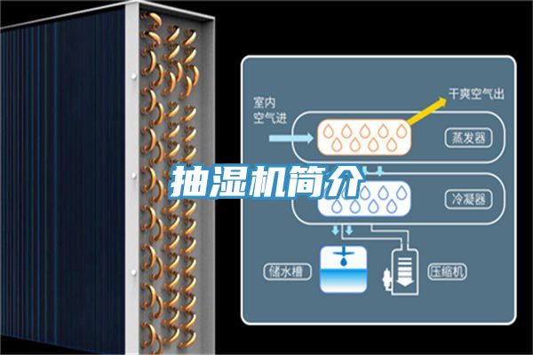 抽濕機簡介