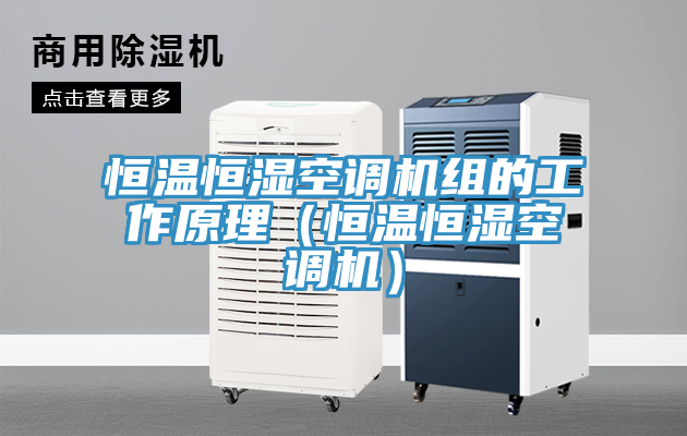 恒溫恒濕空調(diào)機(jī)組的工作原理(恒溫恒濕空調(diào)機(jī))