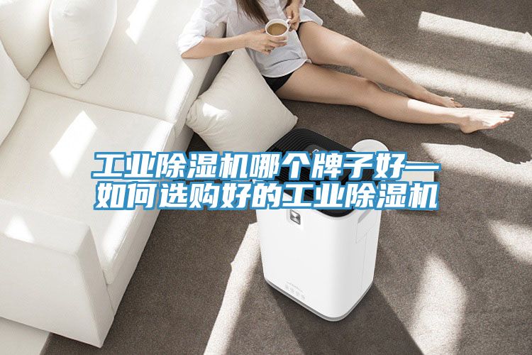 工業(yè)除濕機(jī)哪個(gè)牌子好—如何選購(gòu)好的工業(yè)除濕機(jī)