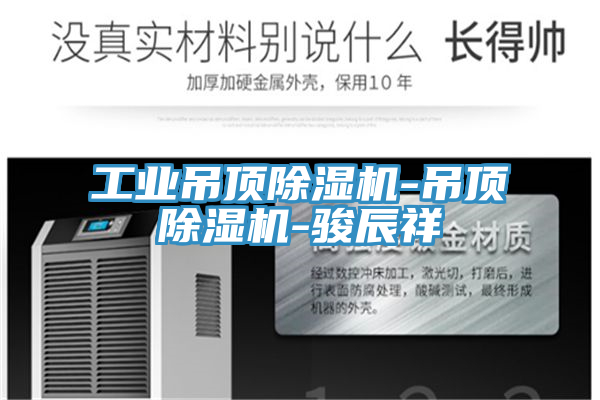 工業吊頂除濕機-吊頂除濕機-駿辰祥