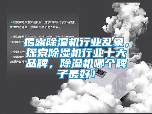 揭露除濕機(jī)行業(yè)亂象，探索除濕機(jī)行業(yè)十大品牌，除濕機(jī)哪個牌子最好！