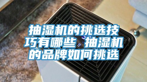 抽濕機的挑選技巧有哪些 抽濕機的品牌如何挑選